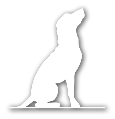 chien