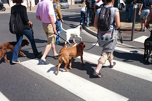 prestation cours en ville prestation cours en ville